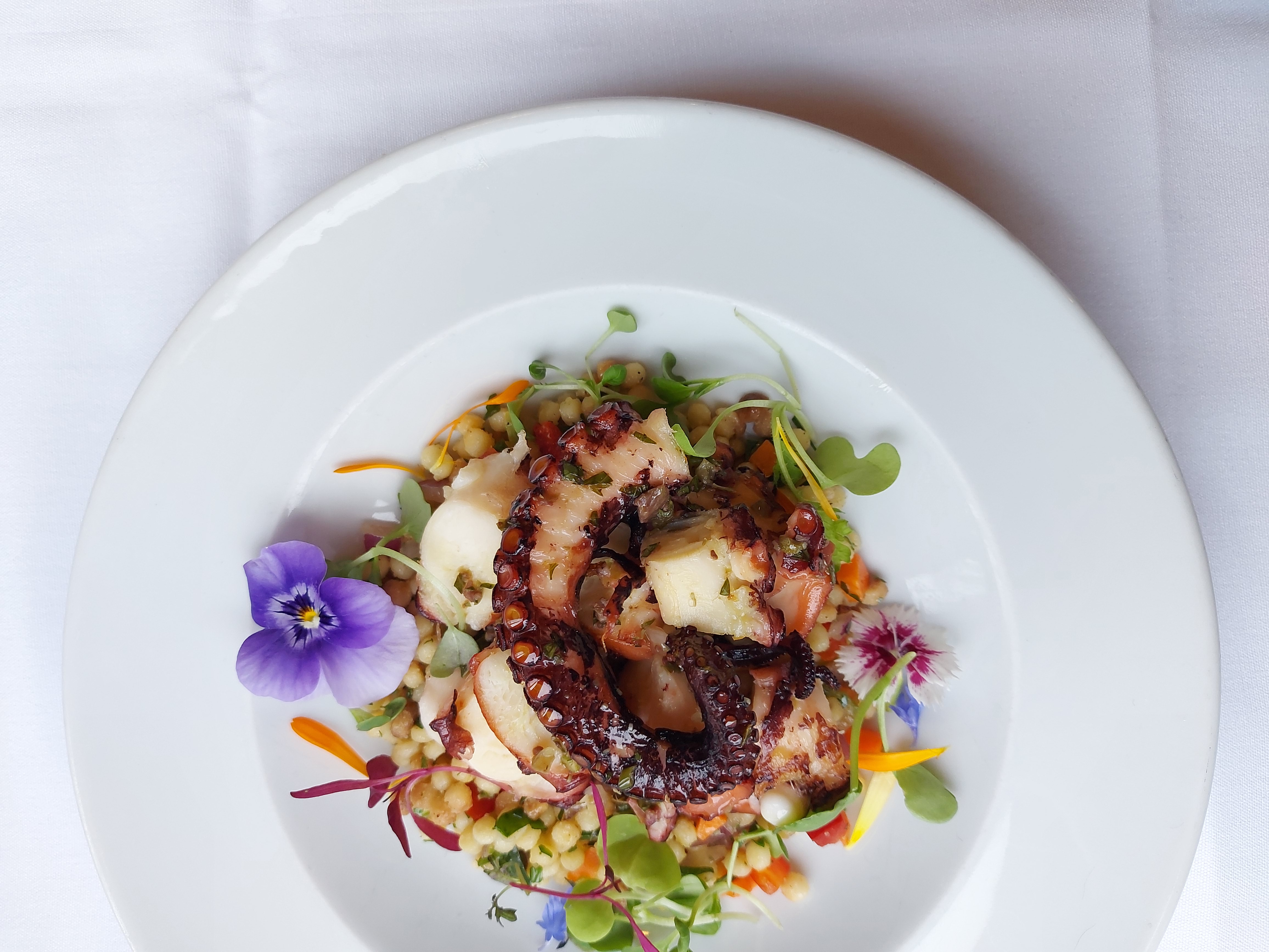 Octopus
